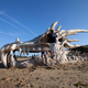 Illustration for article titled Did a massive dragon just wash ashore along Englands Jurassic coast?